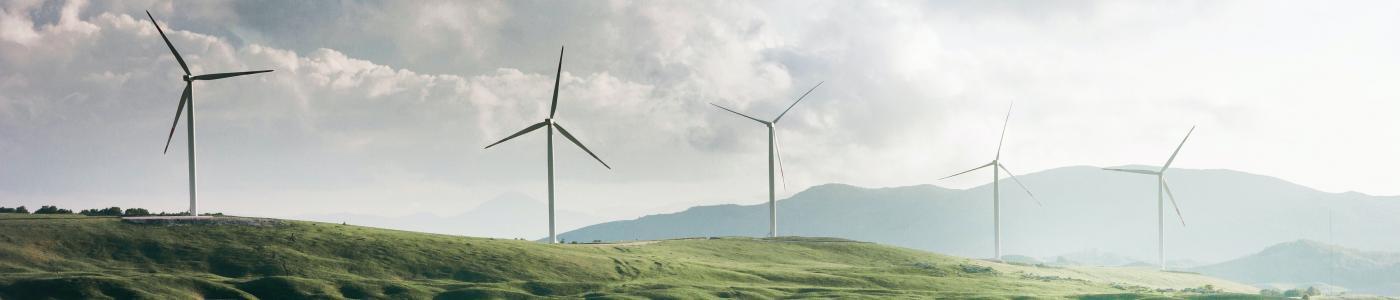 Landscape windmills- Inditex