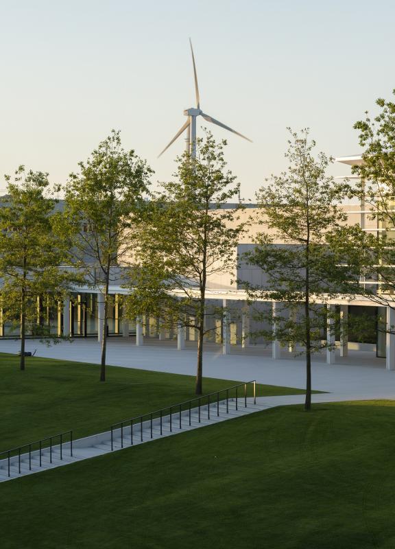 Trees and windmill- Inditex
