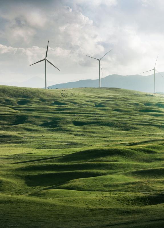 Landscape windmills- Inditex