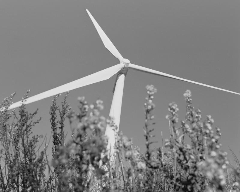 Windmill to generate wind energy in black and white by Inditex