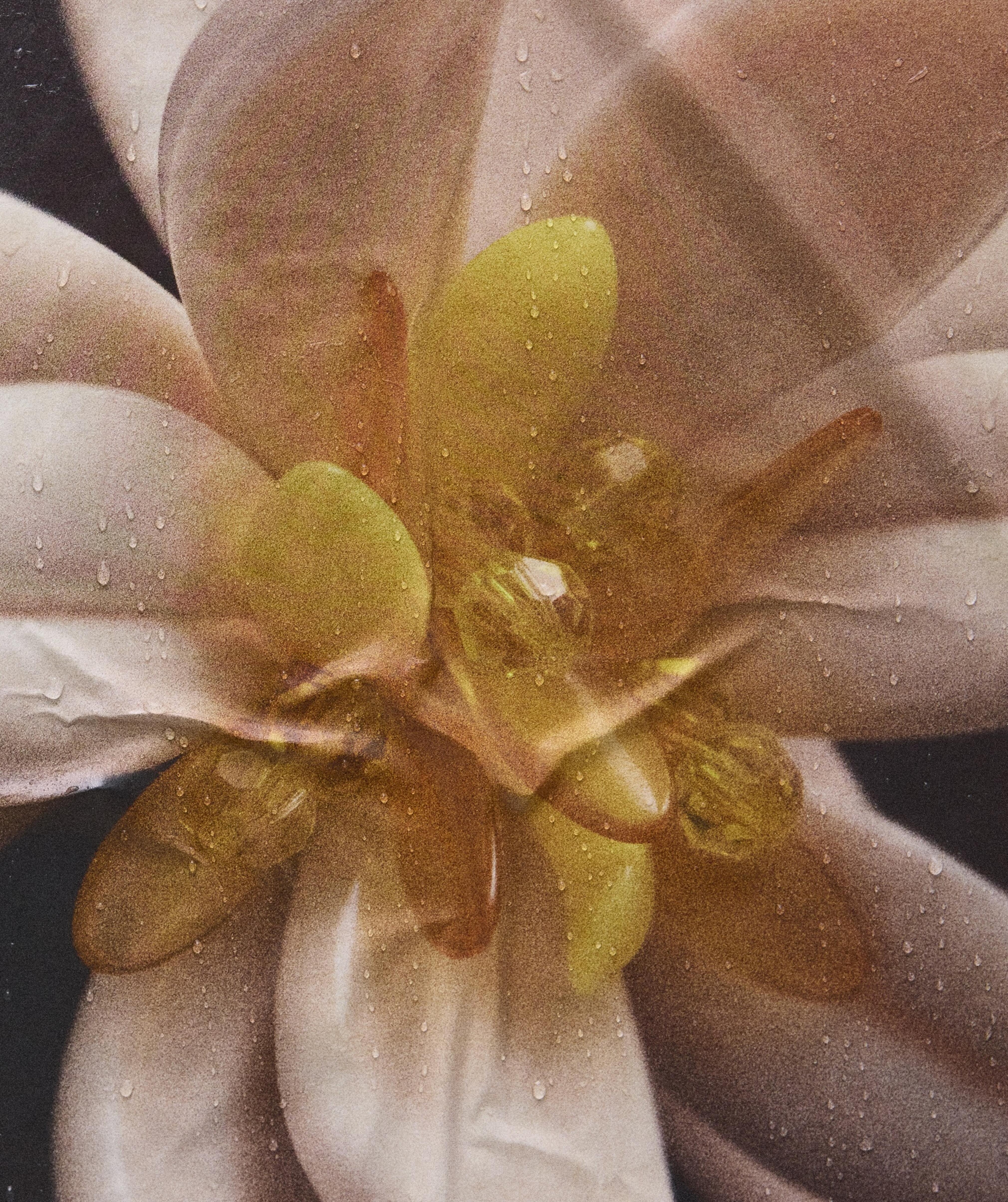 Close up of an ornamental detail shaped as a pink flower with golden details