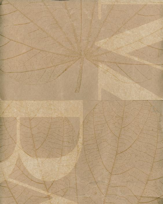 Light brown paper texture with overlapping patterns of leaf veins and translucent geometric shapes.