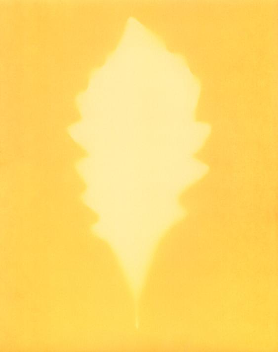 A glowing, light yellow, serrated leaf shape against a darker yellow background.