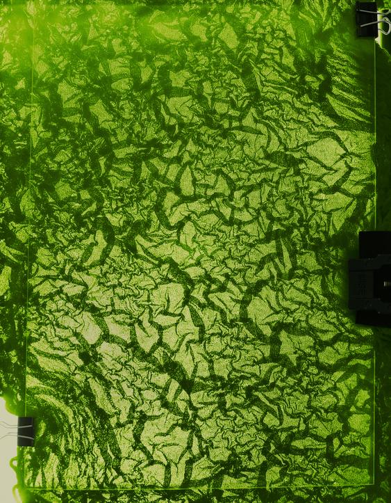Vibrant green texture of crinkled fabric or lace.