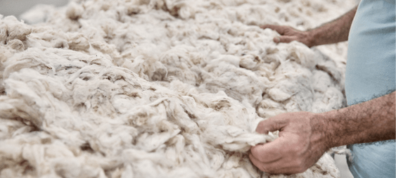 Hands inspecting raw cotton.